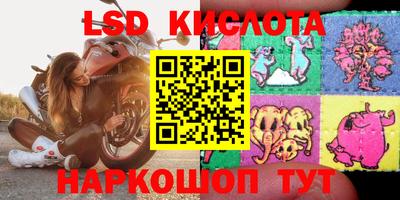 винт Славгород