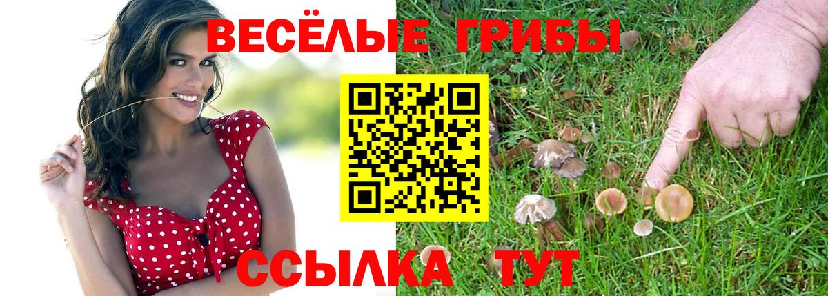 Галлюциногенные грибы MAGIC MUSHROOMS  Вход с VPN  Нальчик 
